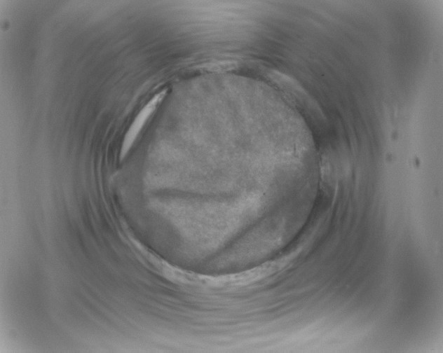 X0000078310046200611251544