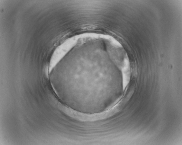 X0000078310047200611251544