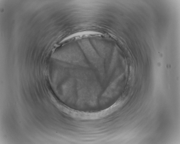 X0000078310048200611251544