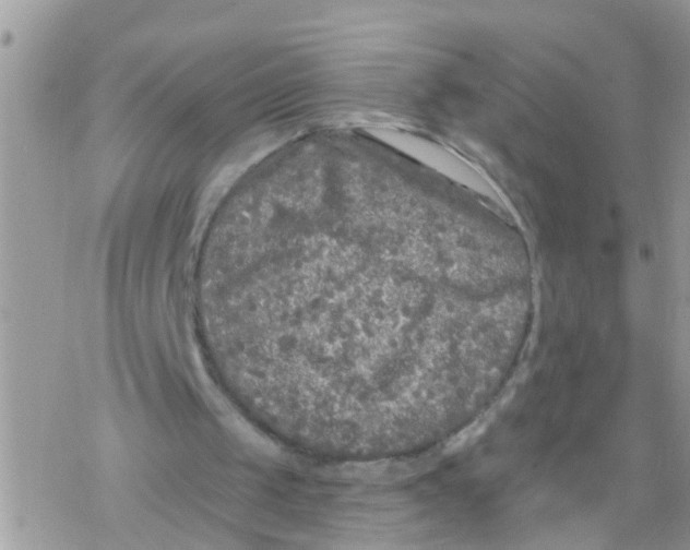 X0000078310049200611251543