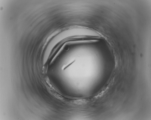 X0000078310050200611251543