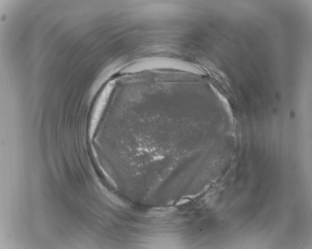 X0000078310051200611251543