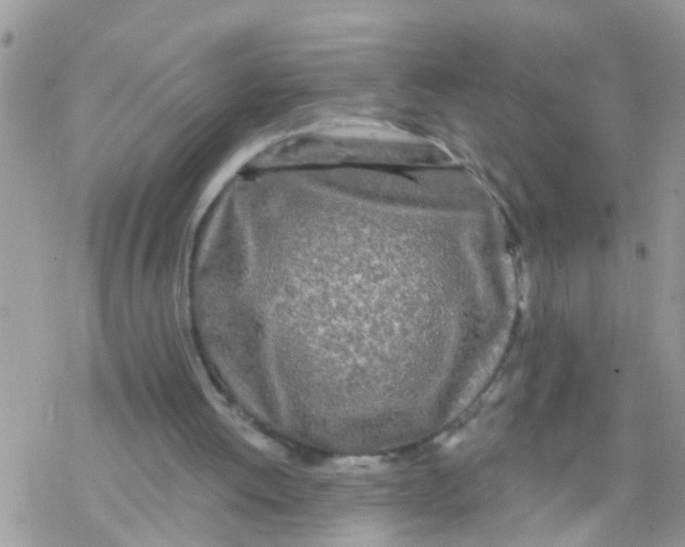 X0000078310052200611251543