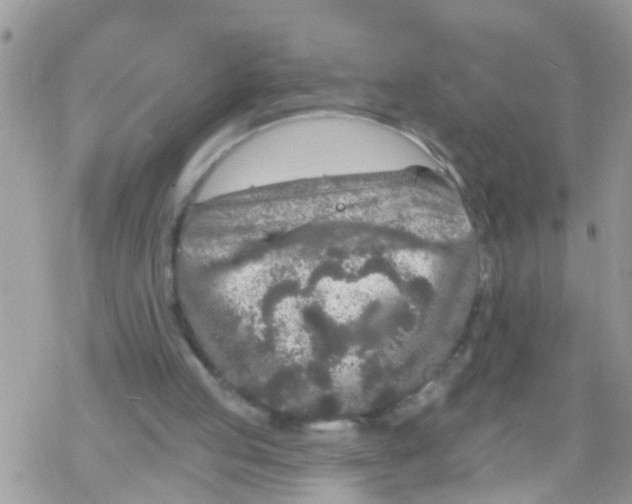 X0000078310053200611251543