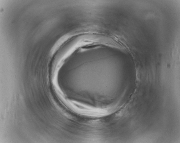 X0000078310054200611251543