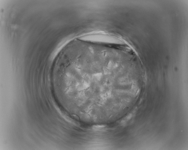 X0000078310055200611251543