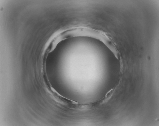 X0000078310056200611251543