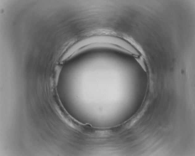 X0000078310057200611251543