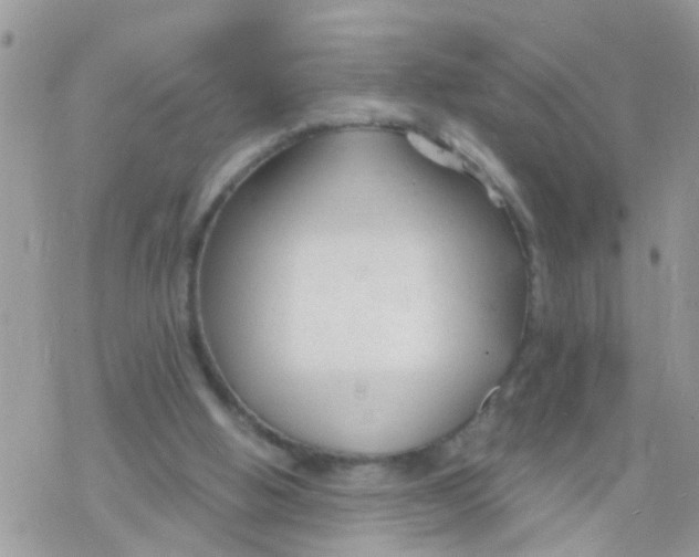 X0000078310058200611251543