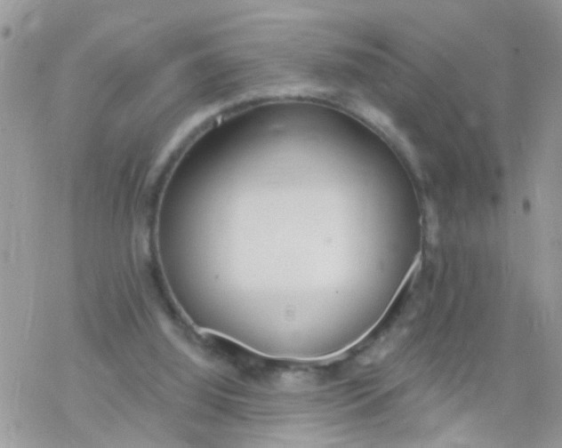 X0000078310060200611251544