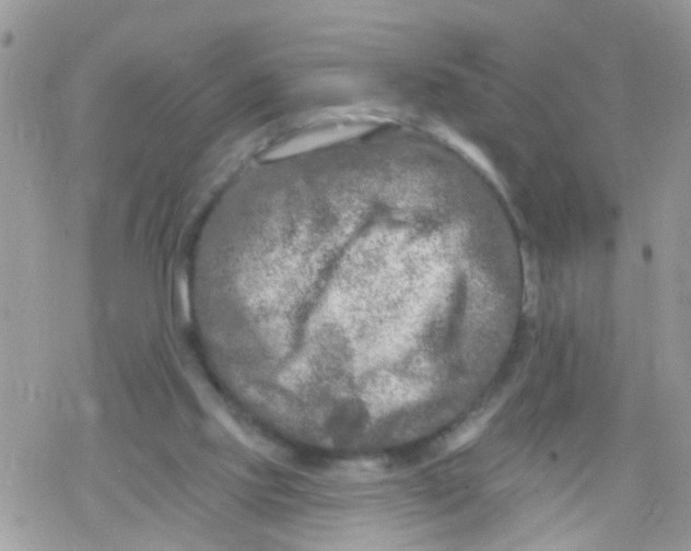 X0000078310061200611251544