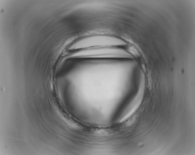 X0000078310062200611251544