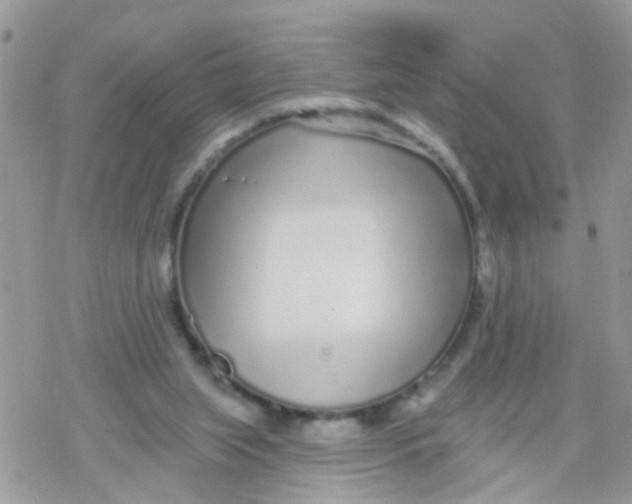 X0000078310063200611251544