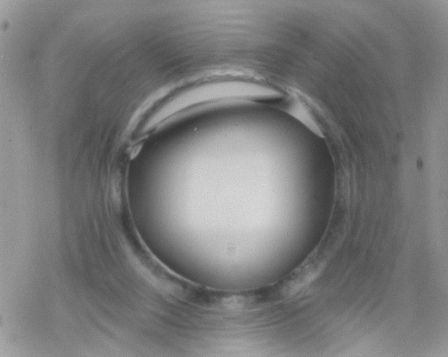 X0000078310064200611251544