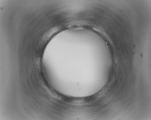 X0000078310066200611251544