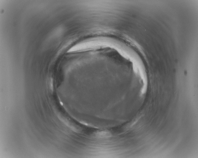 X0000078310067200611251544