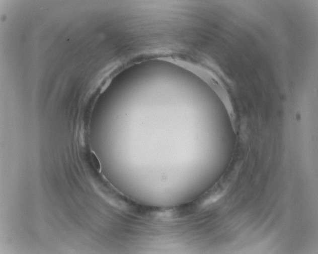 X0000078310068200611251544