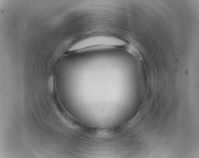 X0000078310070200611251544