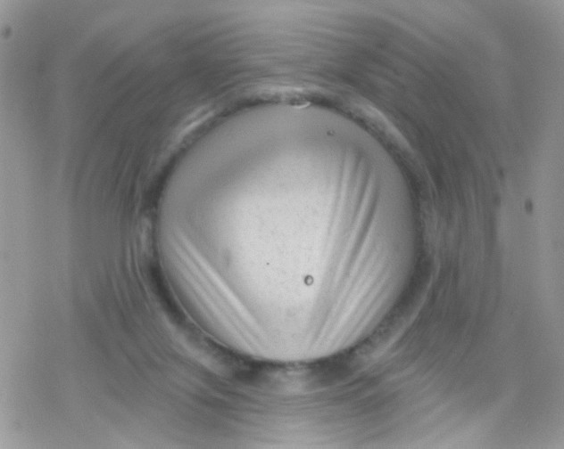 X0000078310071200611251544