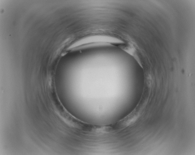 X0000078310072200611251544