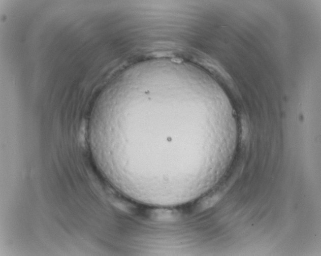 X0000078310073200611251544