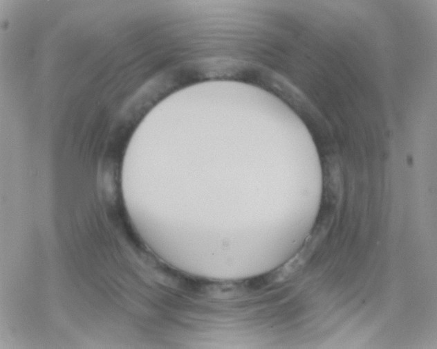 X0000078310074200611251544