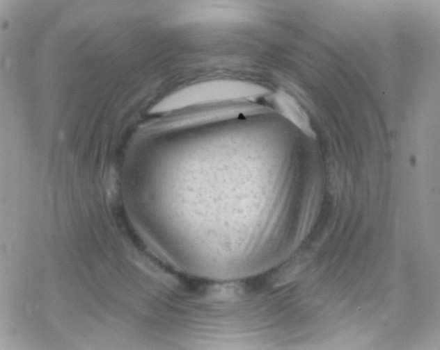 X0000078310077200611251544