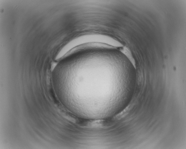 X0000078310078200611251544