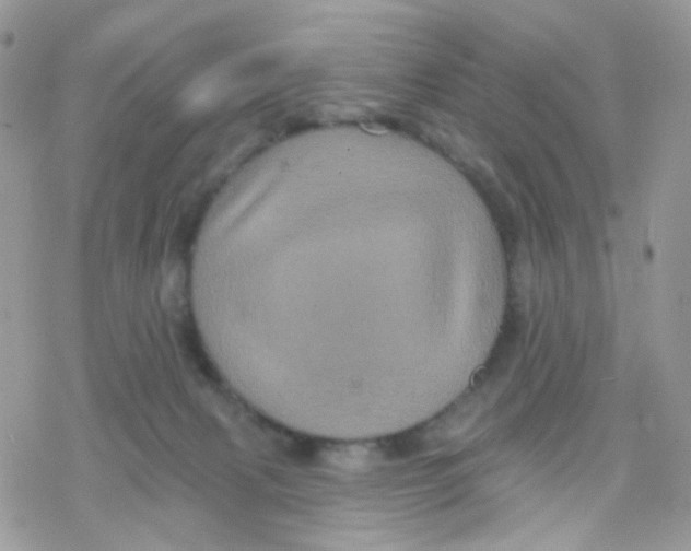 X0000078310079200611251544