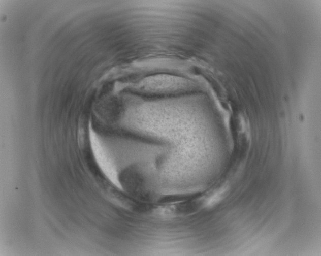 X0000078310080200611251544