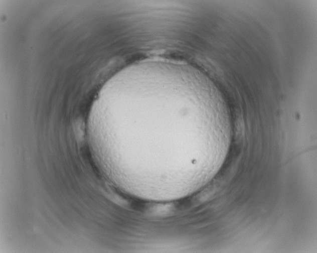 X0000078310081200611251544