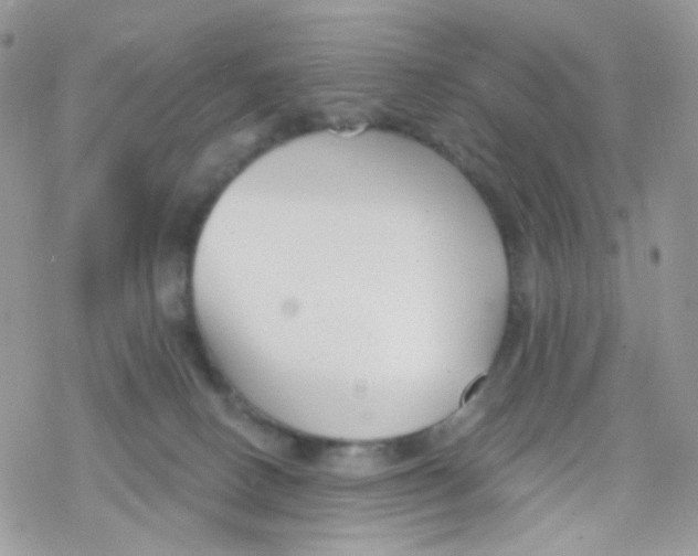 X0000078310082200611251544