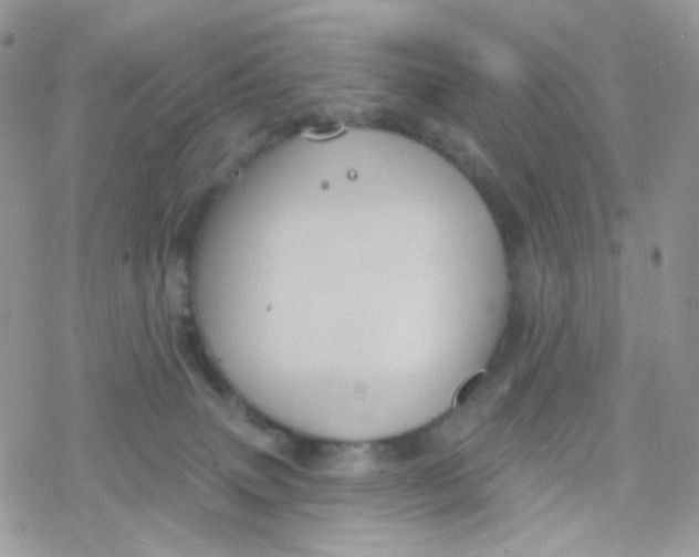 X0000078310083200611251544