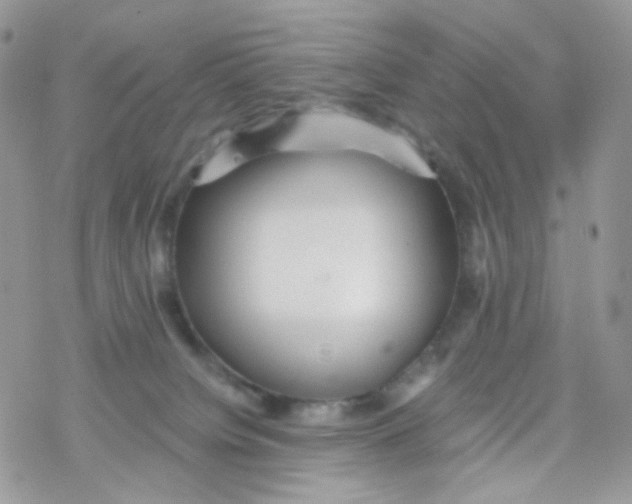 X0000078310084200611251544