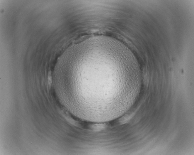 X0000078310085200611251544