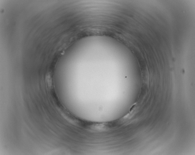 X0000078310086200611251544