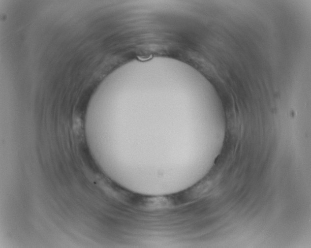 X0000078310087200611251544