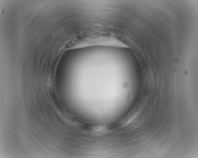 X0000078310088200611251544