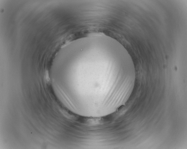 X0000078310089200611251544