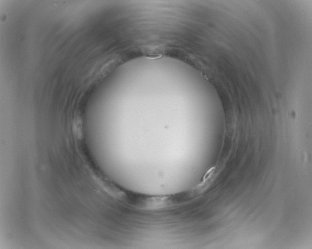 X0000078310090200611251544