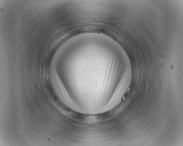 X0000078310091200611251544