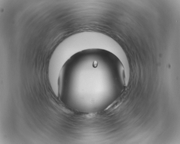 X0000078310092200611251544