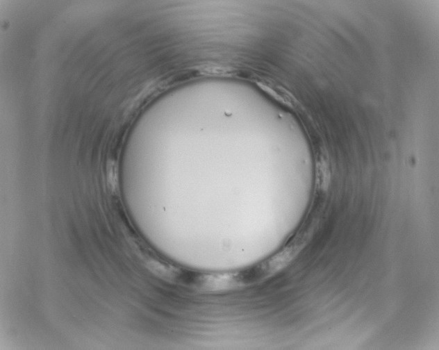 X0000078310093200611251544