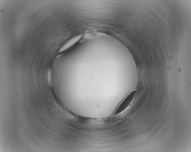 X0000078310094200611251544