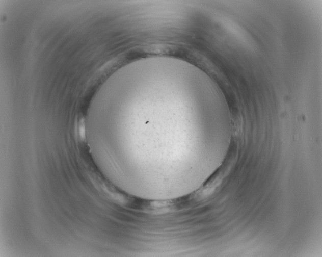 X0000078310095200611251544