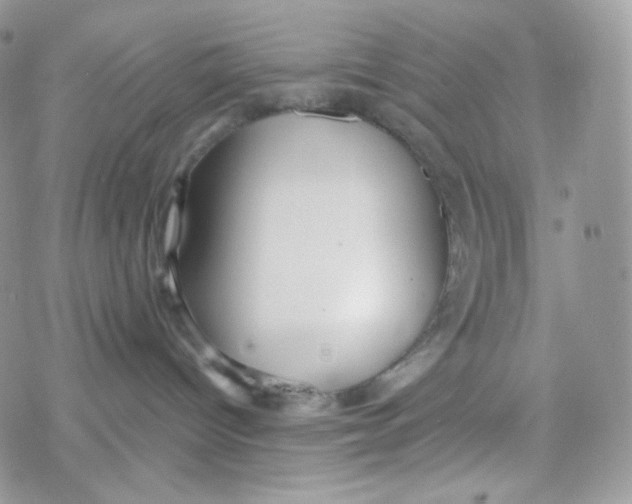 X0000078310096200611251544