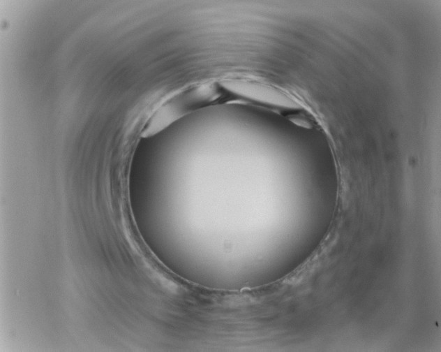 X0000078310097200611251543