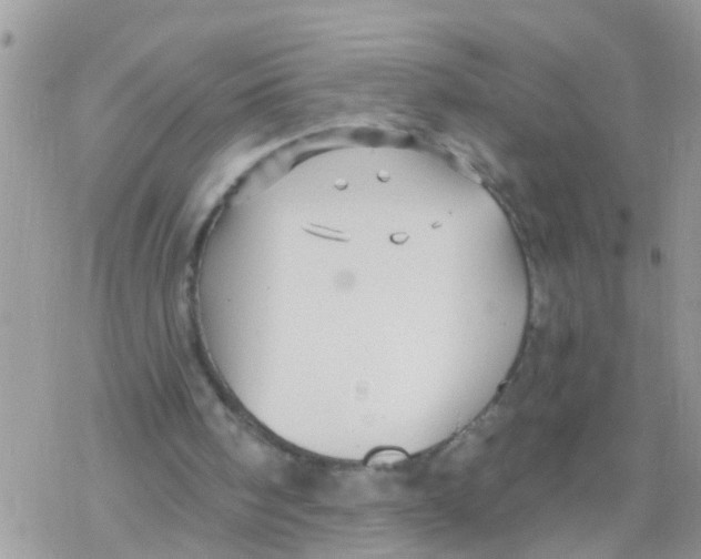 X0000078310098200611251543