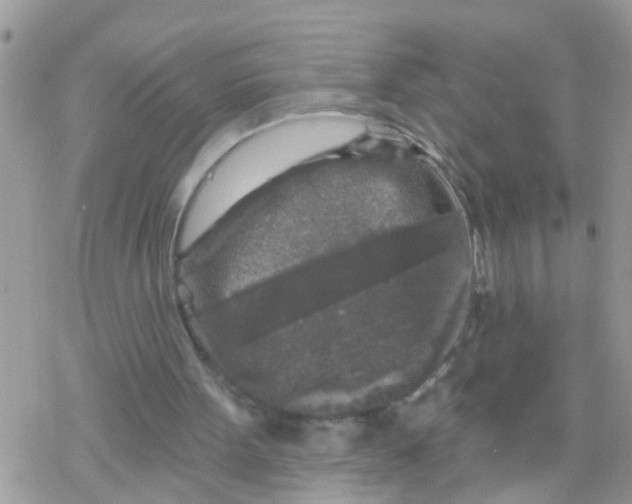 X0000078310099200611251543