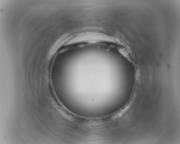 X0000078310101200611251543